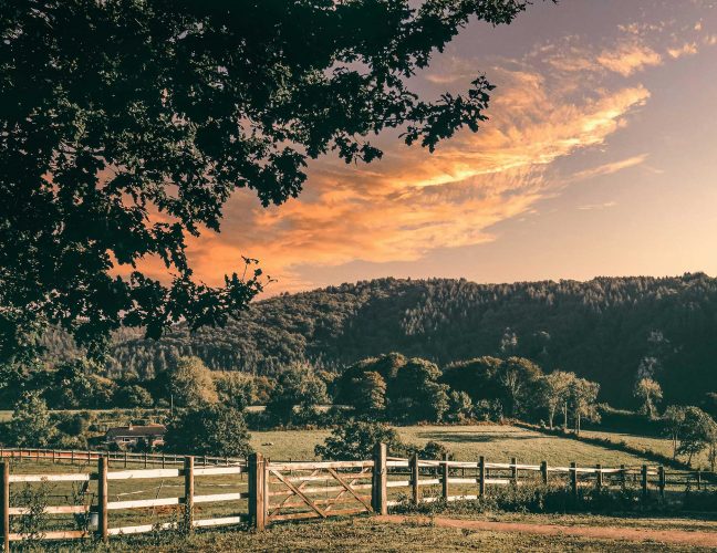 devon countryside